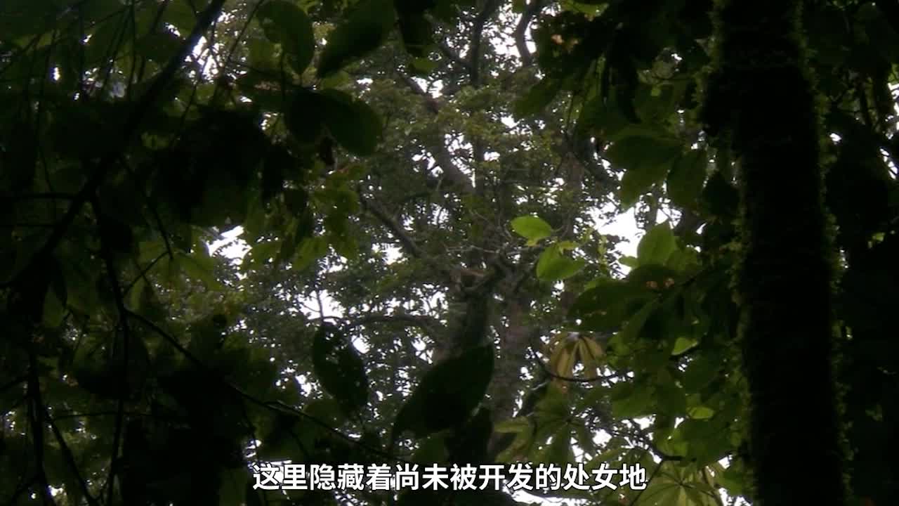 18、布隆迪旅游局宣传片_中文