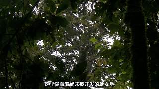 18、布隆迪旅游局宣傳片_中文
