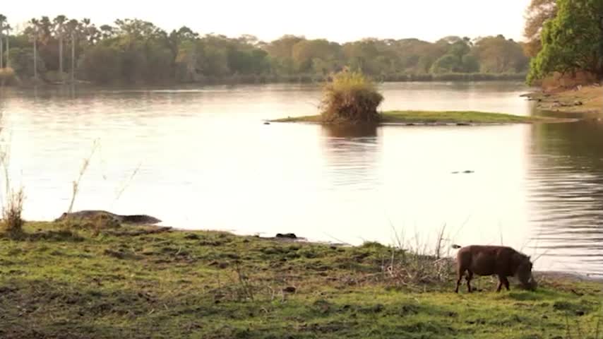 17、马拉维旅游局宣传片_中文