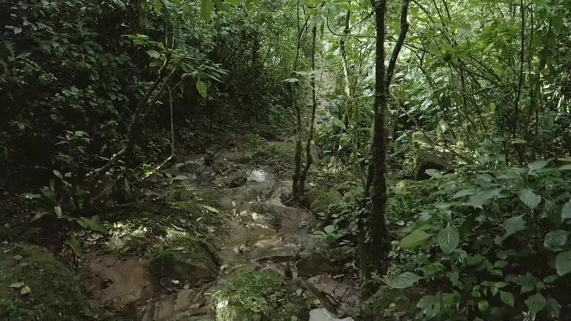 29、LOCATION MAPPING