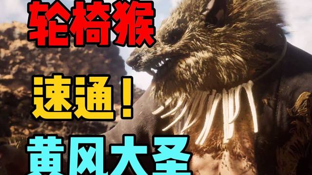 轮椅猴打法！简单实用！速通黄风大圣！