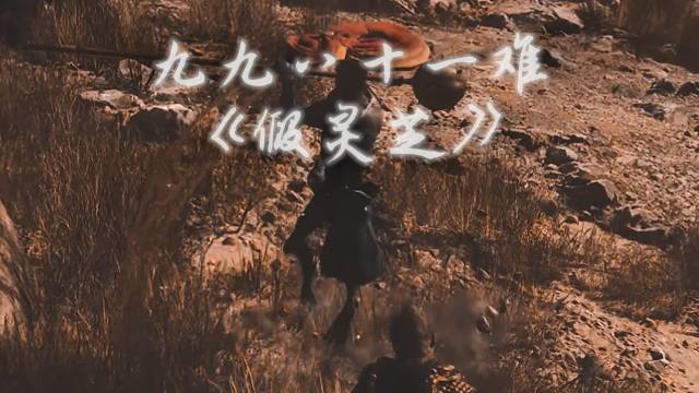 81难——《假灵芝》