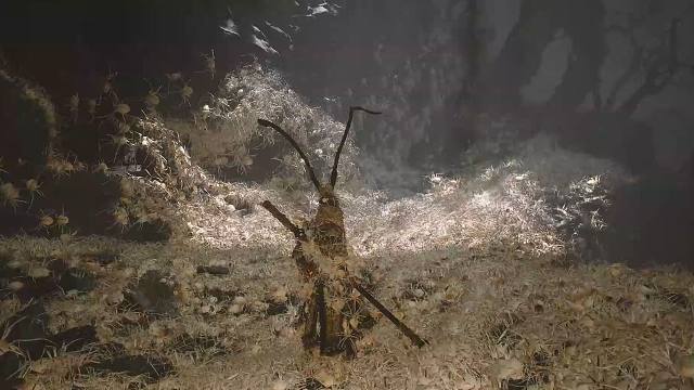 当你在逃离蜘蛛关卡开了风灵月影会怎么样？