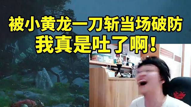 树叶鏖战小黄龙四十个回合被一刀砍死瞬间破防大喊：我真是吐了这死亡一刀斩啊！
