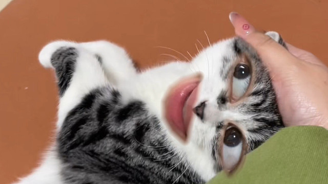 还有啥问题？问！