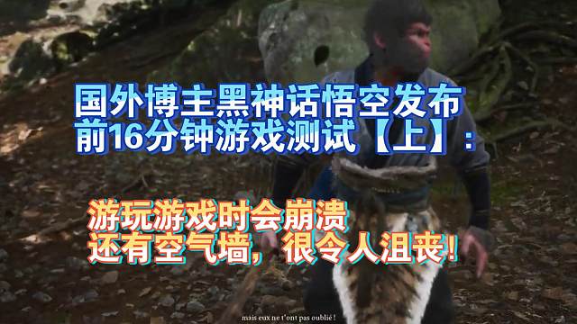 【熟肉】国外博主黑神话悟空发布前16分钟游戏测试【上】：游玩游戏时会崩溃，还有空气墙，很令人沮丧！【