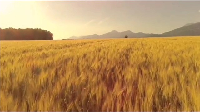 美好的风景，自由与自然都在我脚下