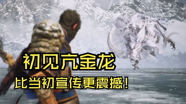 【黑神话悟空】"野兽人传奇领主大战龙型态妙影"