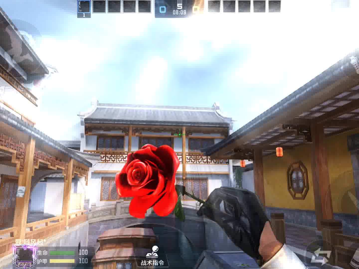 这玫瑰性价比高