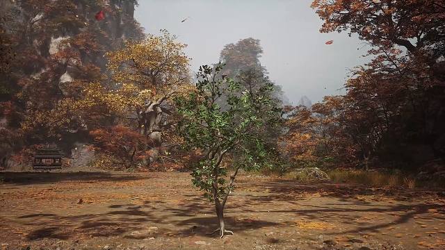 《黑神话：悟空》变树技能展示！不同场景不同外观！