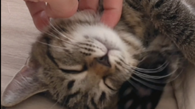 你们俩是轮流来陪睡的吗