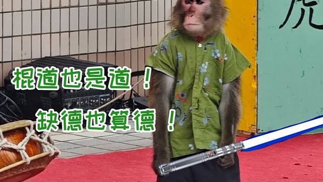 九九八十一难之马喽打完boss被野花创死