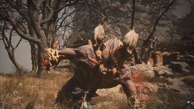 【黑神话悟空12】2分钟教你干掉Boss地狼