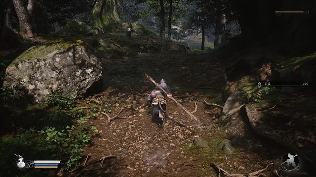 新手黑神话之旅