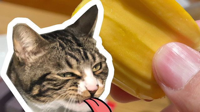 既熟悉又陌生的菠萝蜜～