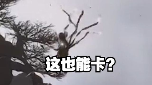 浮夸遇红孩儿，结果卡BUG了?