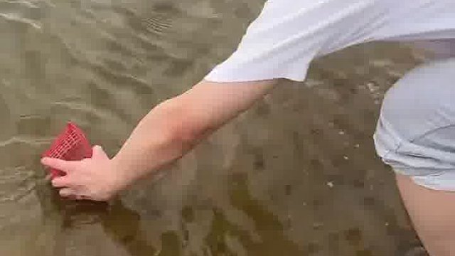 一网下去就可以收工了 ，还要什么自行车