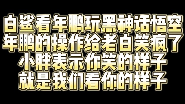 白鲨看年鹏黑神话悟空的操作 给老白笑疯了 小胖表示你笑的样子 就是我们看你玩的时候的样子