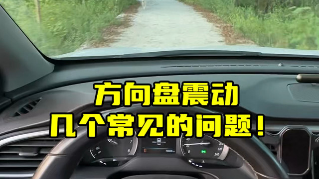 汽车常见的方向盘抖动问题，自己也能判断问题所在#汽车知识分享