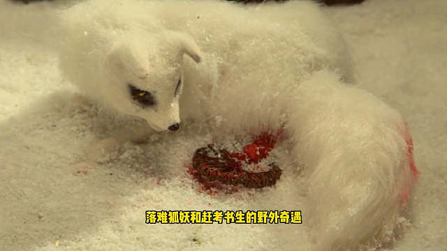 黑神话悟空最虐支线！也是制作组最用心的支线剧情！看完惊呆了