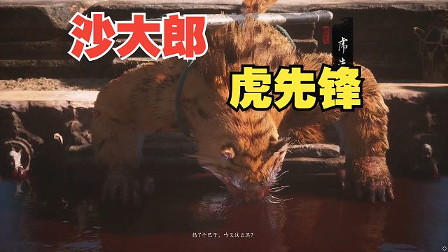 【大白】黑神话悟空11，沙大郎飞龙鳞片血战虎先锋！