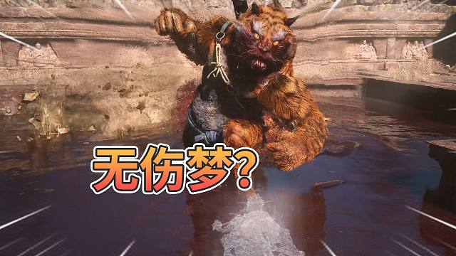 虎先锋：无伤梦？我一脚踩碎！【黑神话广智】