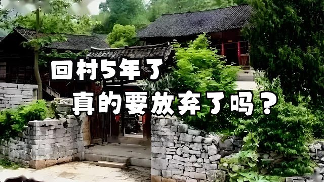 回村创业5年了，难道真的要说放弃了吗？