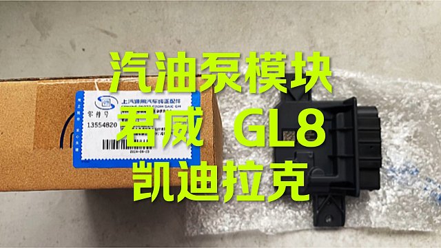 君威汽油泵模块 原厂的来看看