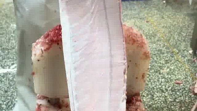 给超低温冷冻的金枪鱼去皮~看起来像在刨萝卜皮