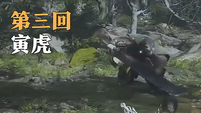 寅虎无定身 无分身打法（猴子猴孙）