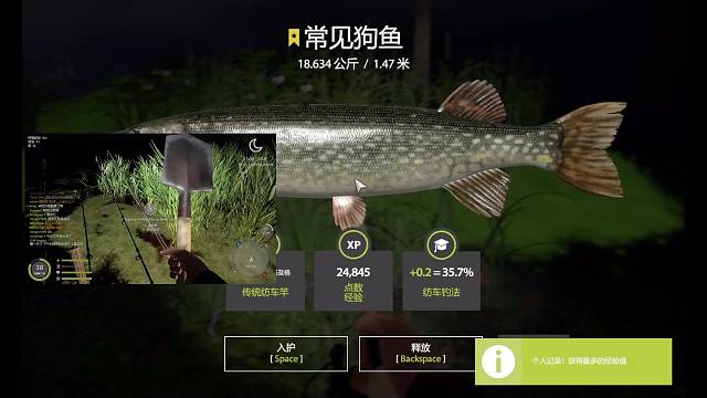 老奥星狗上岸全过程