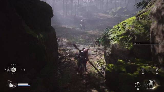 欢迎来到Paulus的直播间