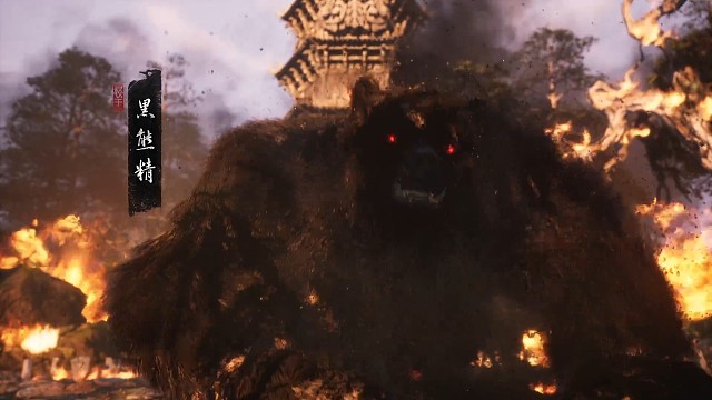 给堡包们欣赏主播的操作