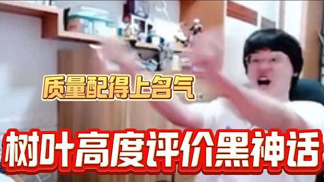 树叶通关黑神话：悟空后高度评价此游戏，“质量配得上名气”！