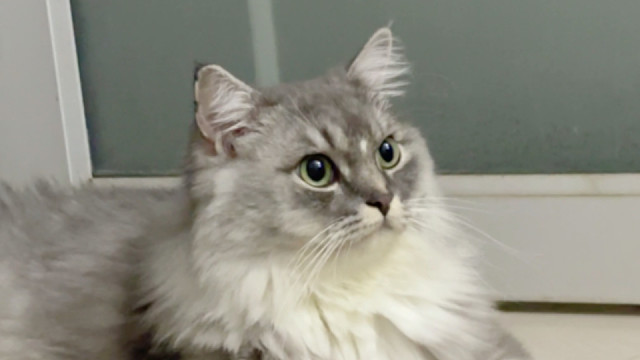 我发布了一个新视频，快来围观吧！