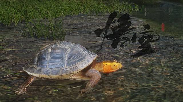 花果山趣味小彩蛋，会振刀的乌龟《黑神话：悟空》