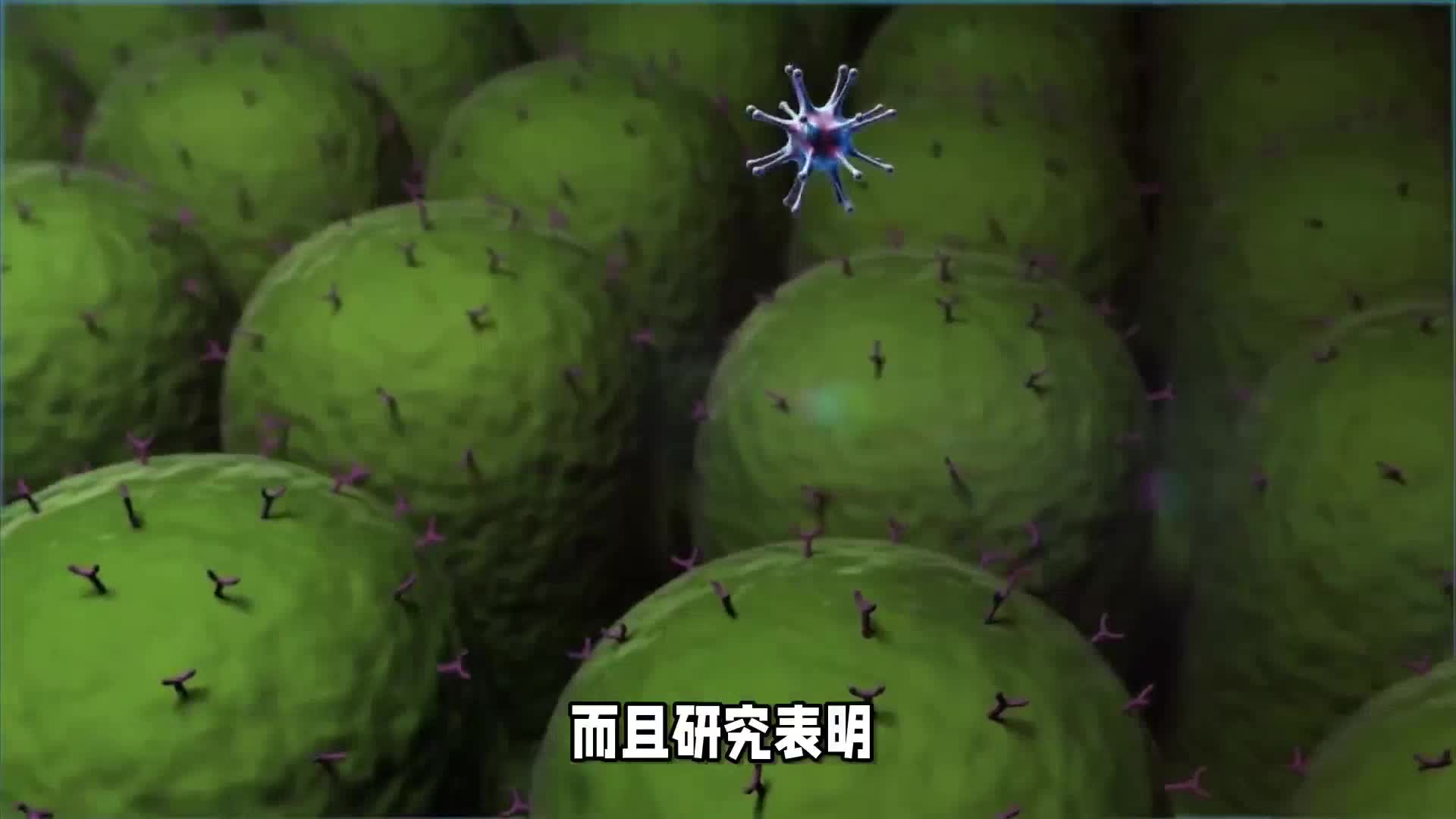 肿瘤患者化疗营养品推荐——Dr.LPS免疫力胶囊