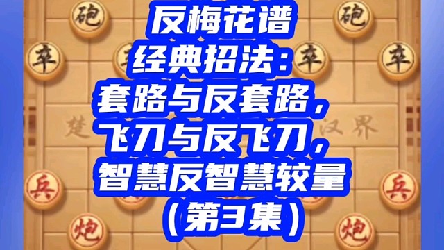 反梅花谱经典招法：套路反套路，飞刀反飞刀，智慧反智慧较量（3）
