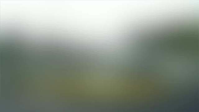 不小心就要成为奔驰车主了....