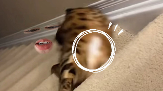 在做一种很新的科普