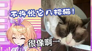 主播你家貓好像戟把貓啊你才幾把貓！你幾把人【吉諾兒kino】