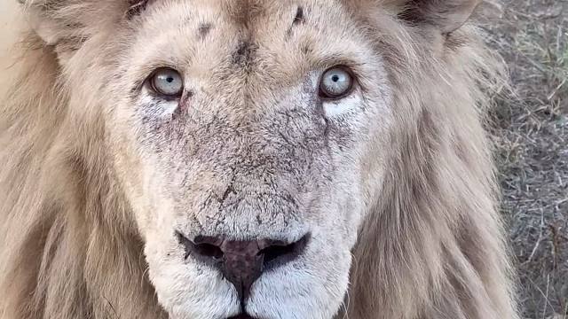 “确认过眼神，我遇上对的人”