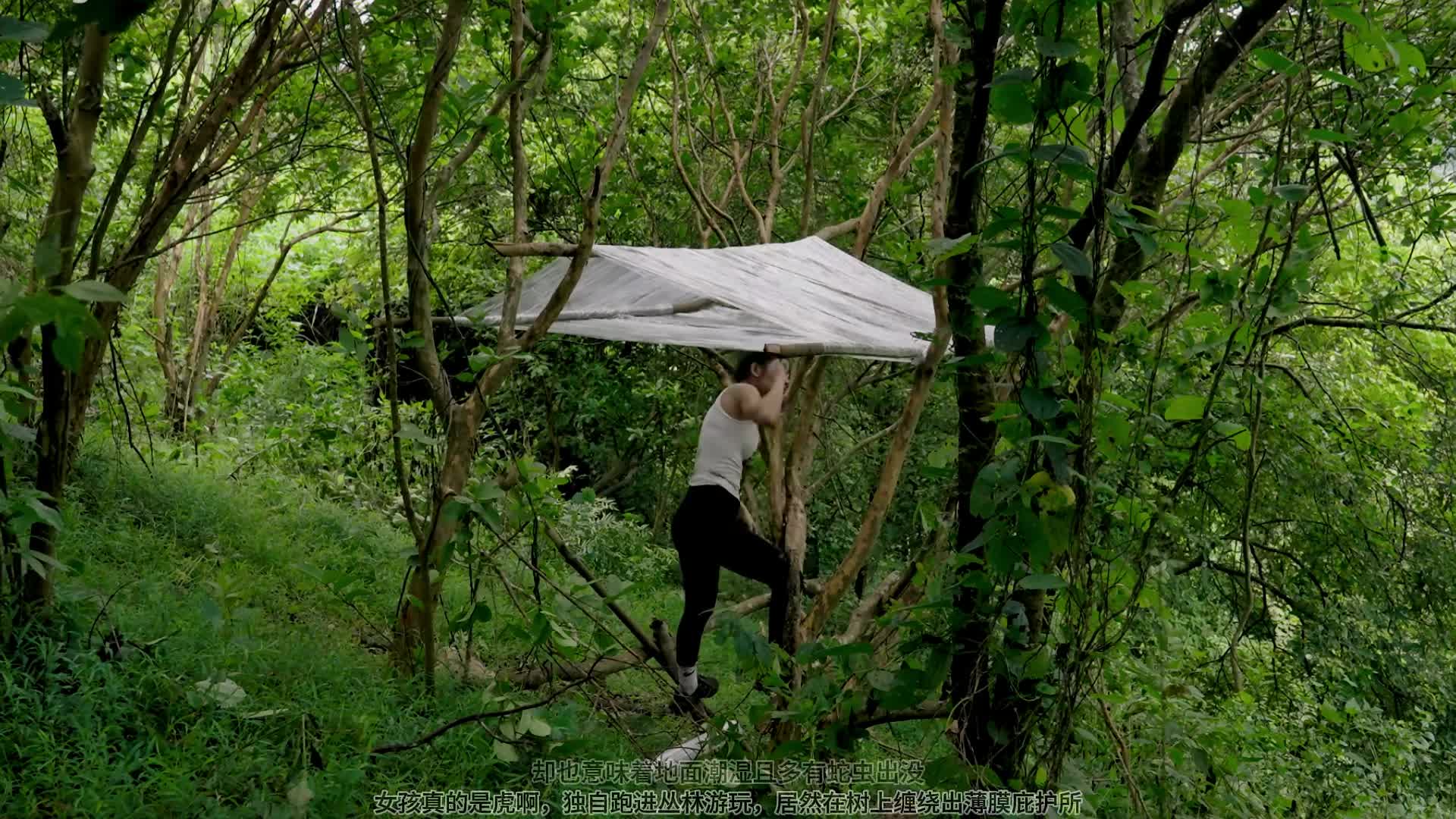 女孩真的是虎啊，独自跑进丛林游玩，居然在树上缠绕出薄膜庇护所