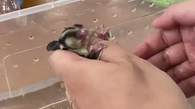 洗澡就是，丢进去拿出来，擦干净还回去～