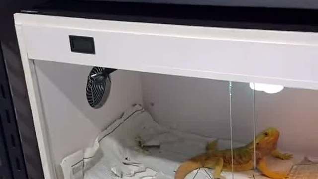 很多朋友都一样吧，突然的死开，心碎一秒