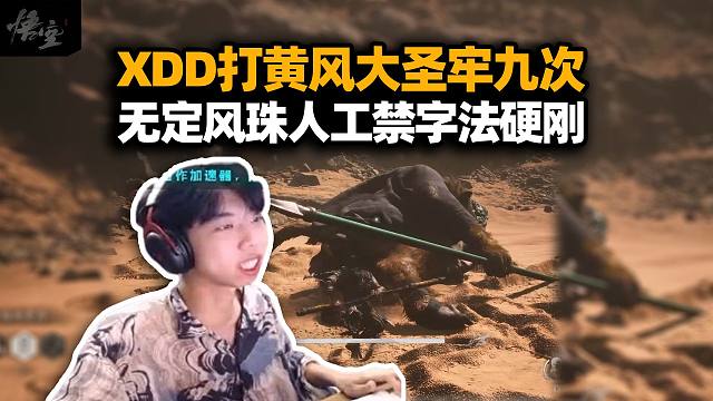 XDD体术流战黄风大圣 无定风珠硬凹九次过！神秘加点一点不看唉