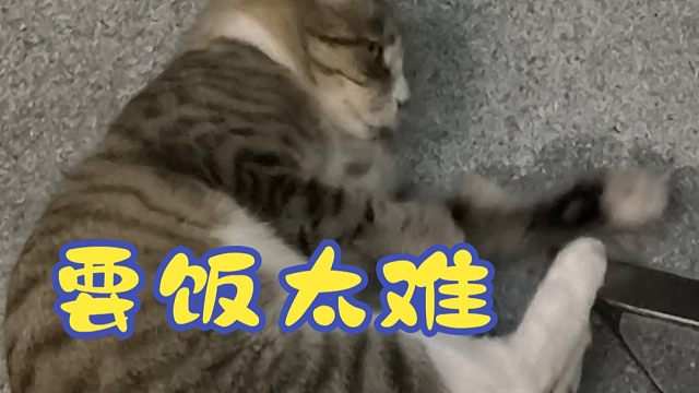 骗你的，其实那天我根本没有吃的给你