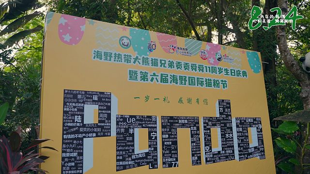 【本视频建议带纸巾观看】贡贡舜舜11周岁生日庆典温馨回顾略催泪版~