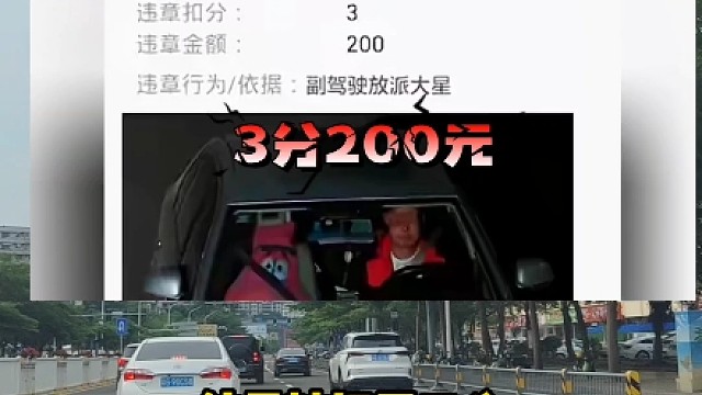 马路上的奇葩究竟有多离谱！#开车 #安全 #每天一个用车小知识