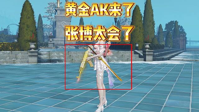 黄金AK都来了！张博可太会了！